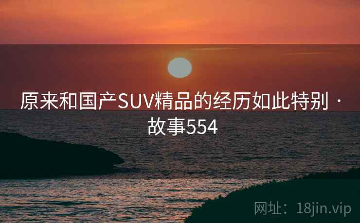 原来和国产SUV精品的经历如此特别 · 故事554