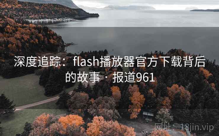 深度追踪：flash播放器官方下载背后的故事 · 报道961  第2张