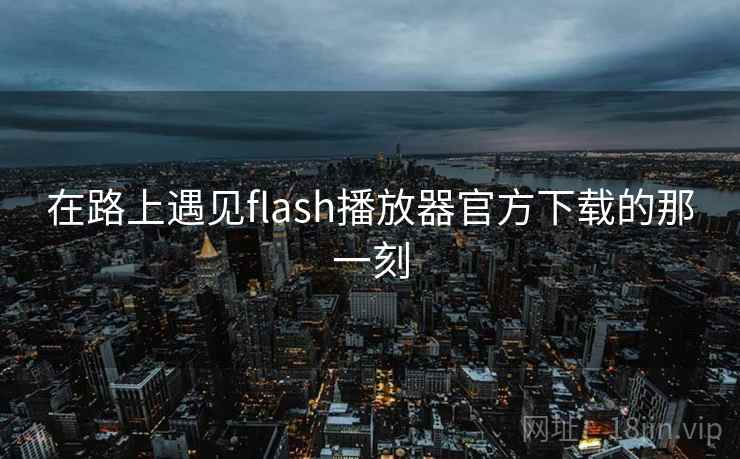 在路上遇见flash播放器官方下载的那一刻